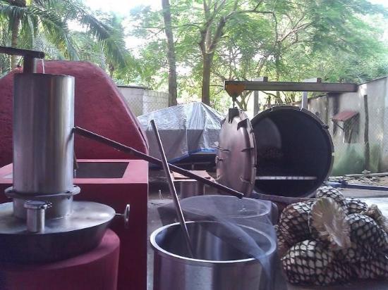 Tequila Don Tadeo