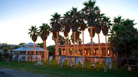 Club de Mar