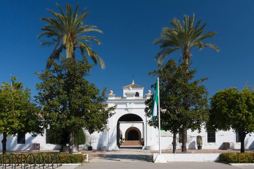 Parque del Alamillo