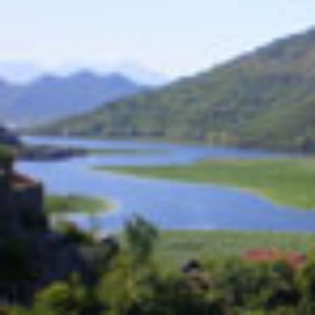 Rest. Guachinche El Toscal