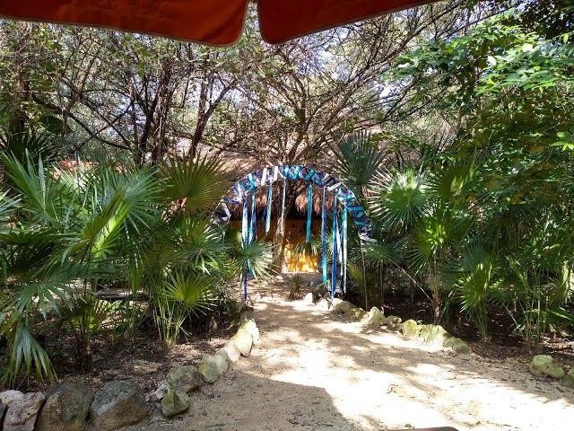 el Parque La Ceiba