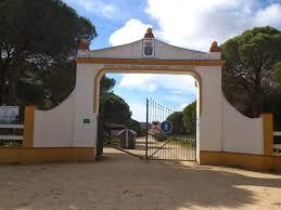 Pinar de hierro