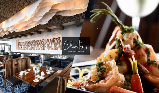 Cilantro's
