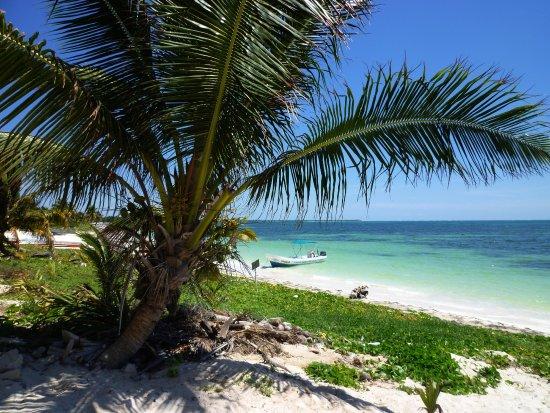 Sol Caribe