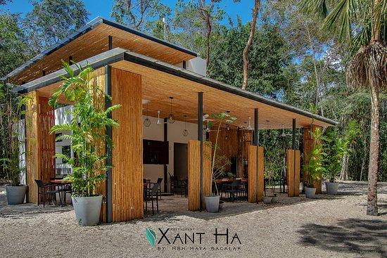 Xant Ha Bacalar
