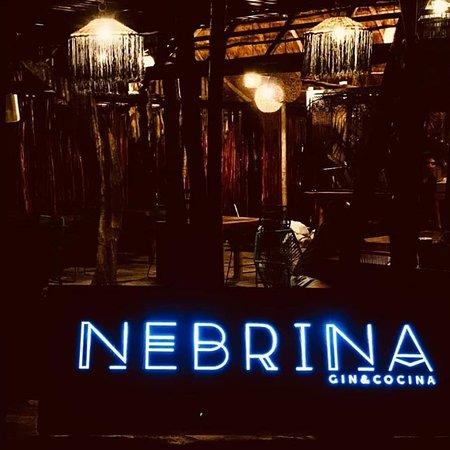 Nebrina Gin & Cocina Tulum