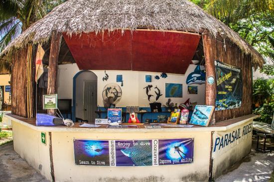 Blue Dream Cozumel
