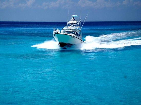 Billfish Boys