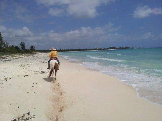 Horsetrail Mexico Tours