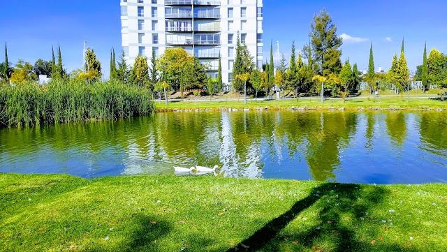 Jardín del Arte
