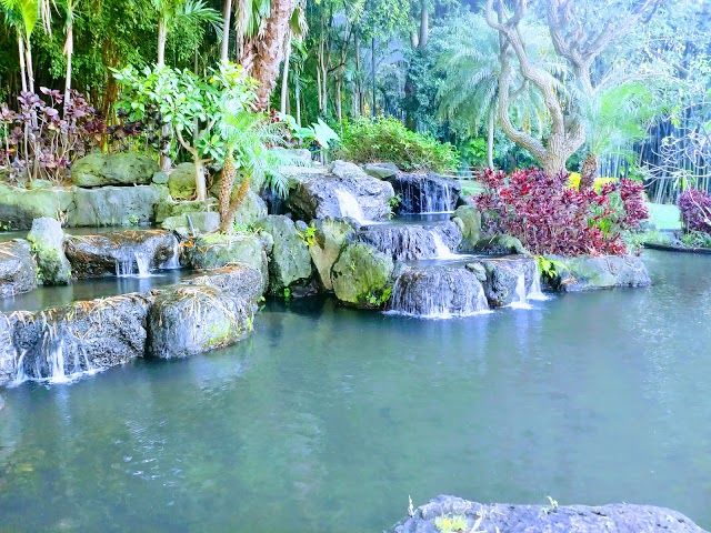 Huayacan