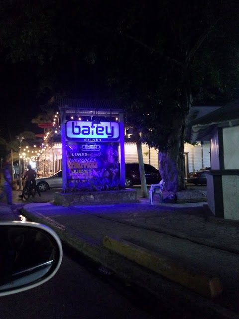 Batey drinks house