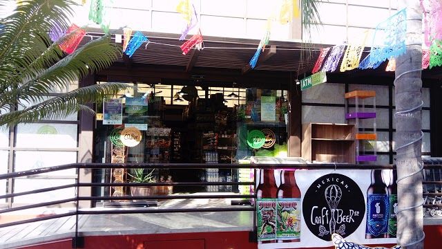 Plaza Ollin
