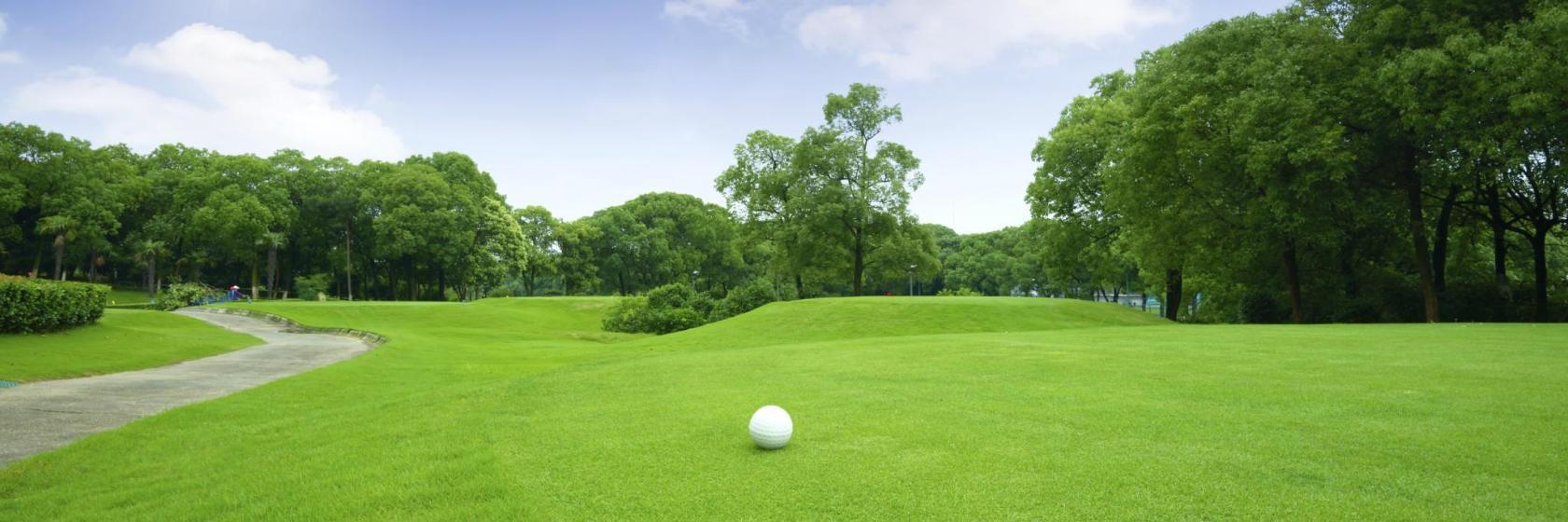 Cabo del Sol Golf