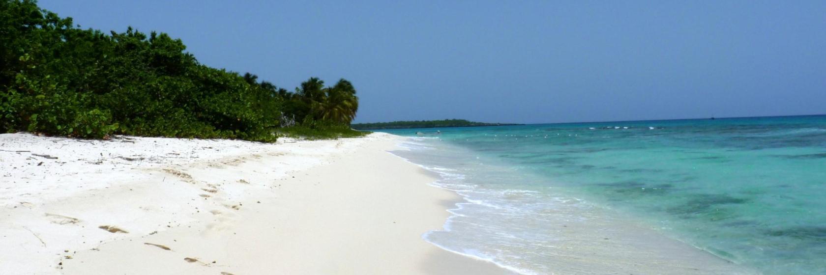 Playa Dominicus