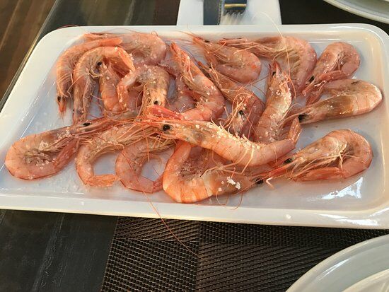 Restaurante Casa Del Palo
