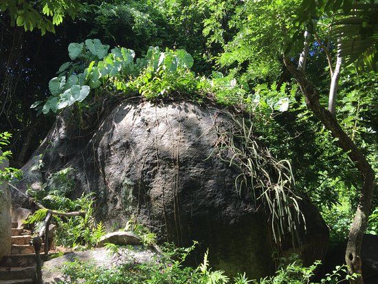 el Jardín Botánico de Acapulco
