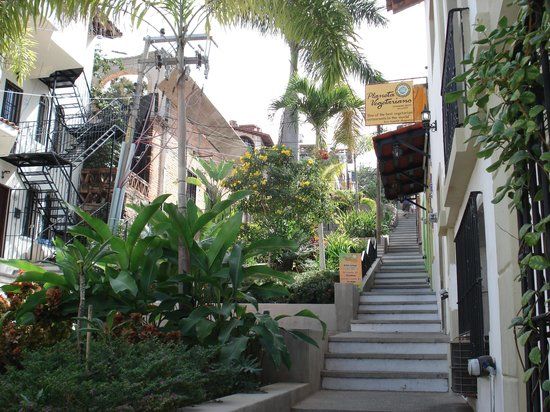 el Viejo Vallarta