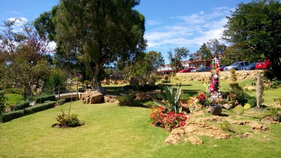 la Plaza Maclovia